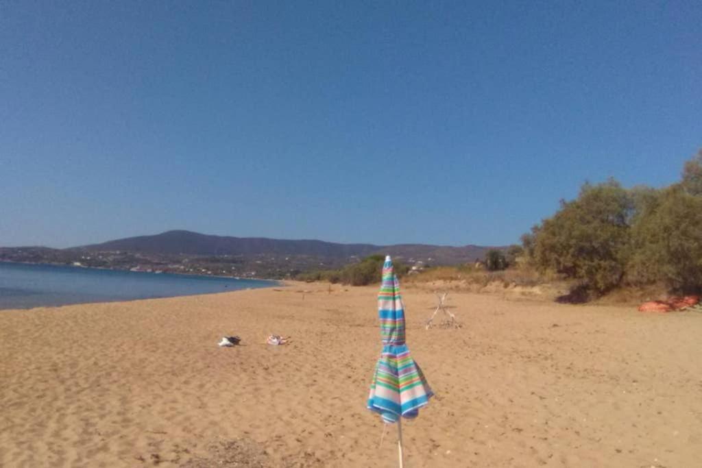 Im Herzen Von Koroni Dış mekan fotoğraf