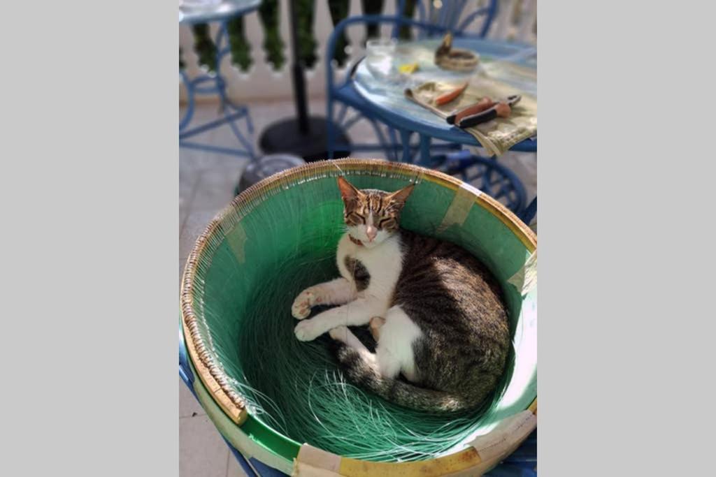 Im Herzen Von Koroni Dış mekan fotoğraf